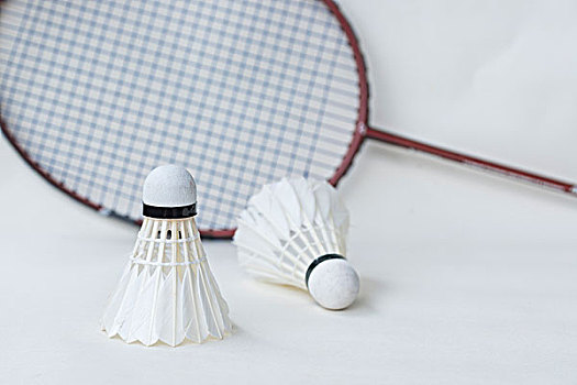 年轻阵容的 年轻阵容的